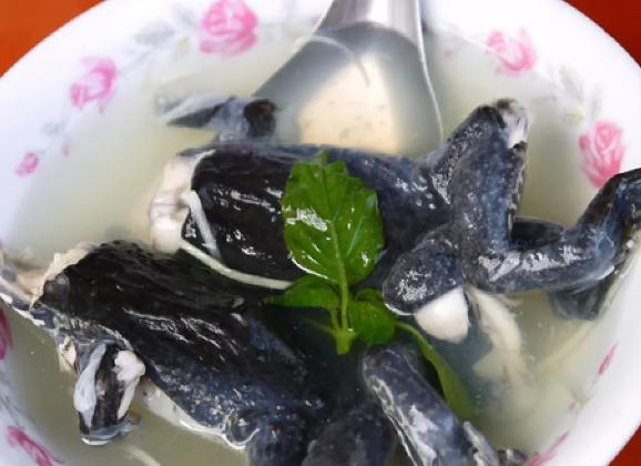 青蛙湯 青蛙湯