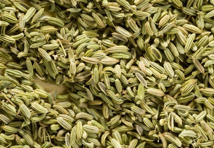 茴香功效 茴香功效