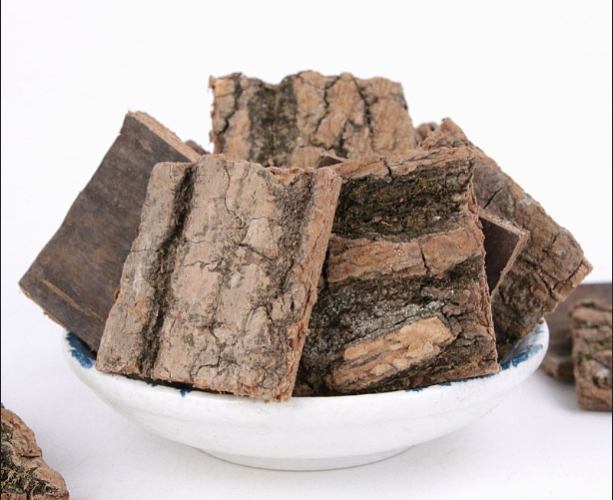 杜仲茶功效 杜仲茶功效