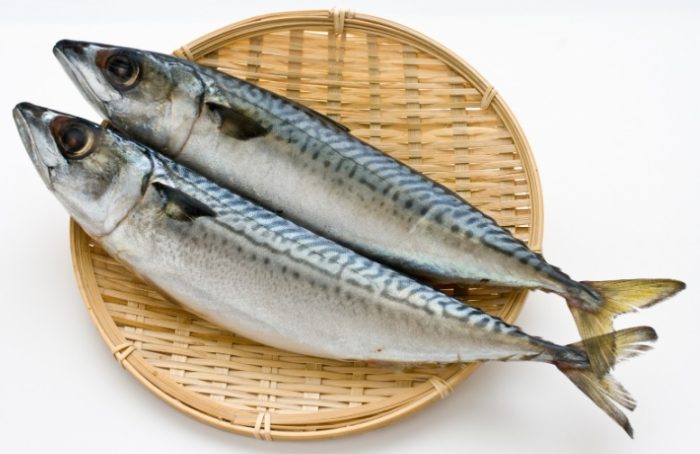 鯖魚營養 鯖魚營養