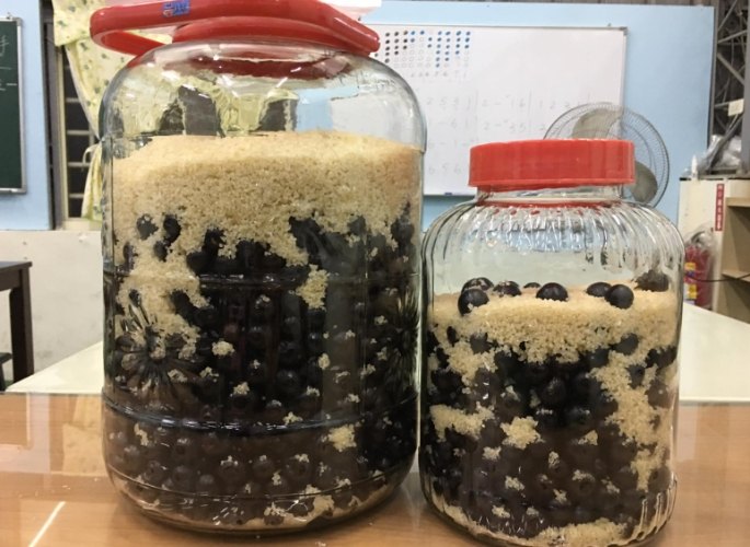 樹葡萄酒的功效 樹葡萄酒的功效