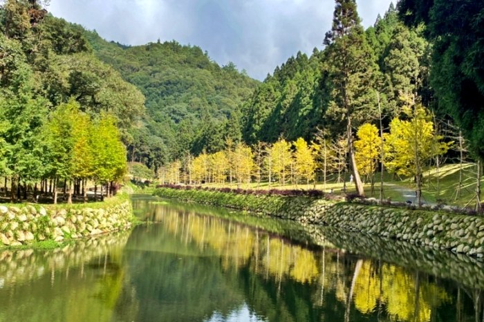 溪頭附近景點