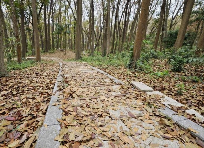 新化林場 新化林場