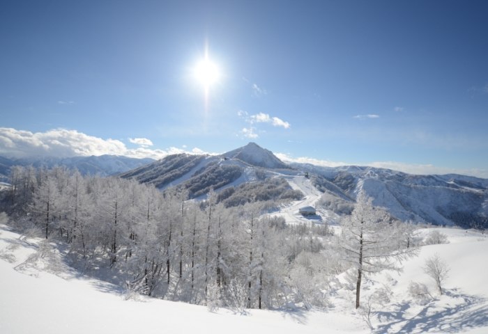 東京滑雪​