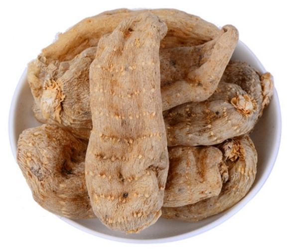 天麻的功效 天麻的功效