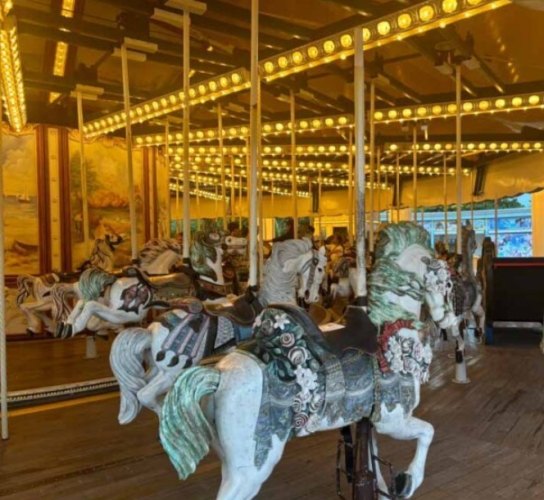 横濱八景島海島樂園 横濱八景島海島樂園