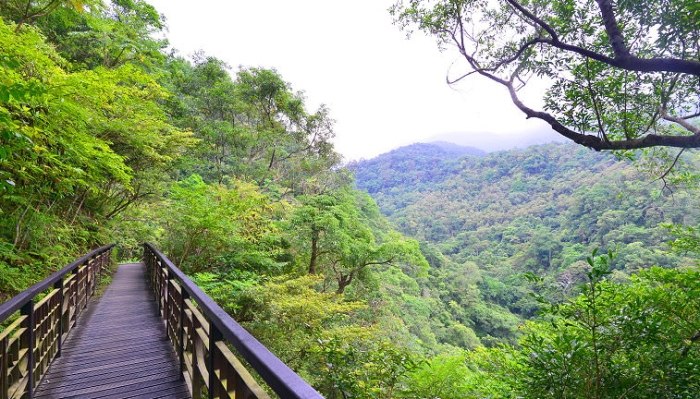 聖母山莊登山步道 聖母山莊登山步道