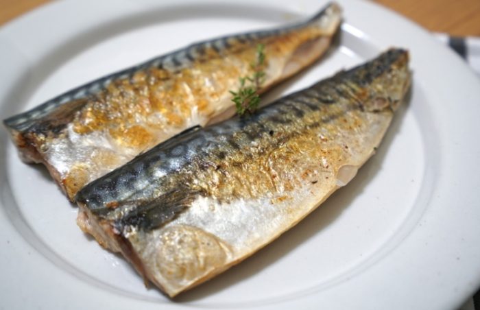 鯖魚營養 鯖魚營養