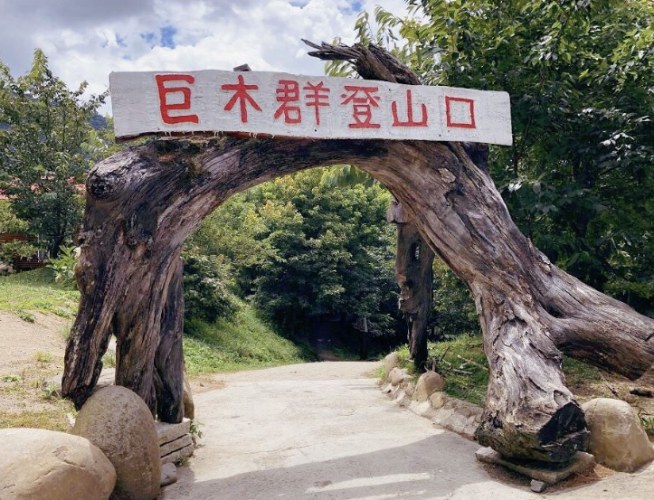 司馬庫斯巨木群步道 司馬庫斯巨木群步道