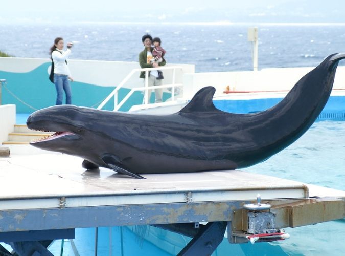沖繩水族館