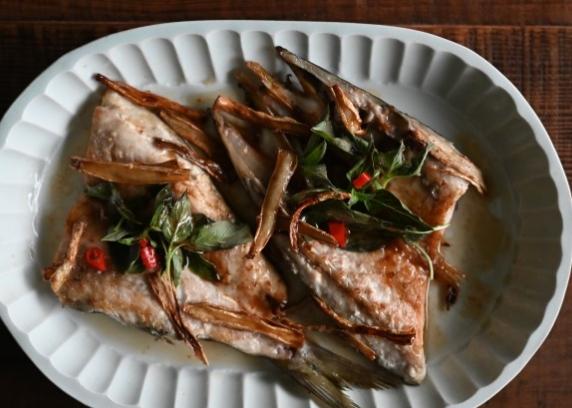 尖梭魚 尖梭魚