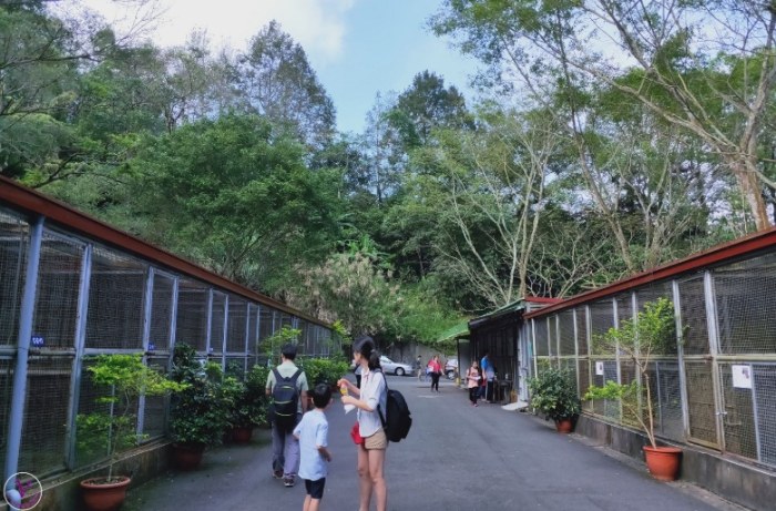 鳳凰谷鳥園住宿 鳳凰谷鳥園住宿