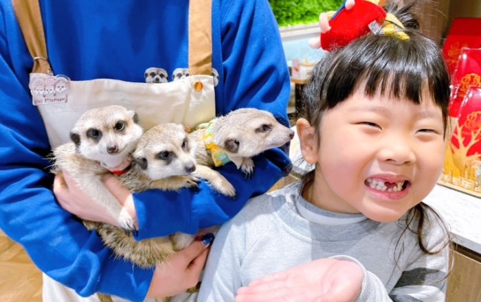 動物餐廳 動物餐廳