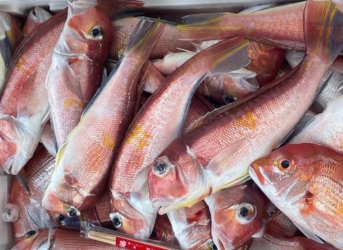 馬頭魚料理食譜 馬頭魚料理食譜