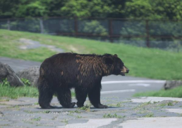 福岡動物園 福岡動物園