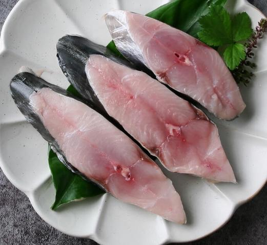 白腹魚