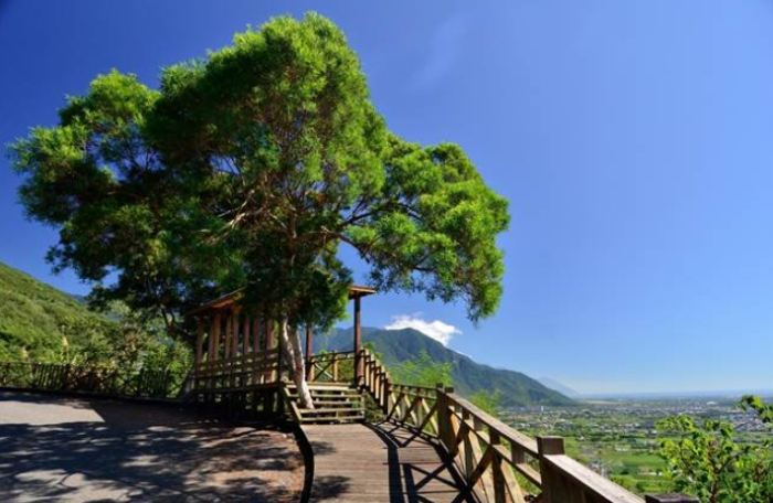 楓林步道 楓林步道