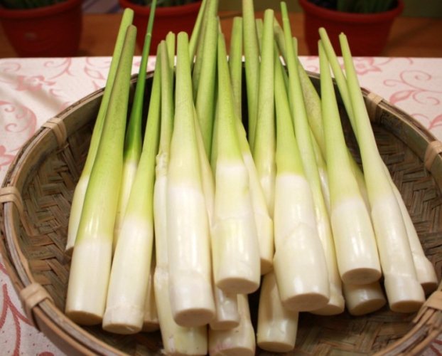 埔里名產