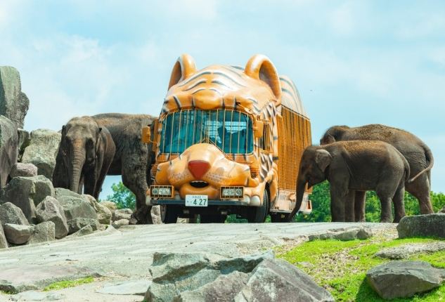 九州野生動物園 九州野生動物園