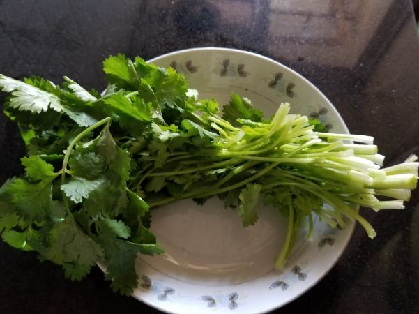 芫茜功效