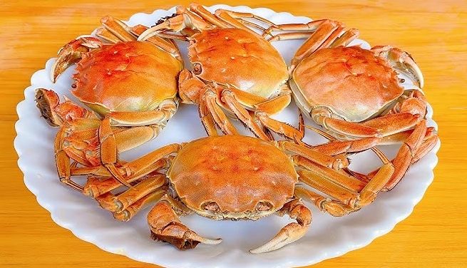 碧砂漁港美食 碧砂漁港美食