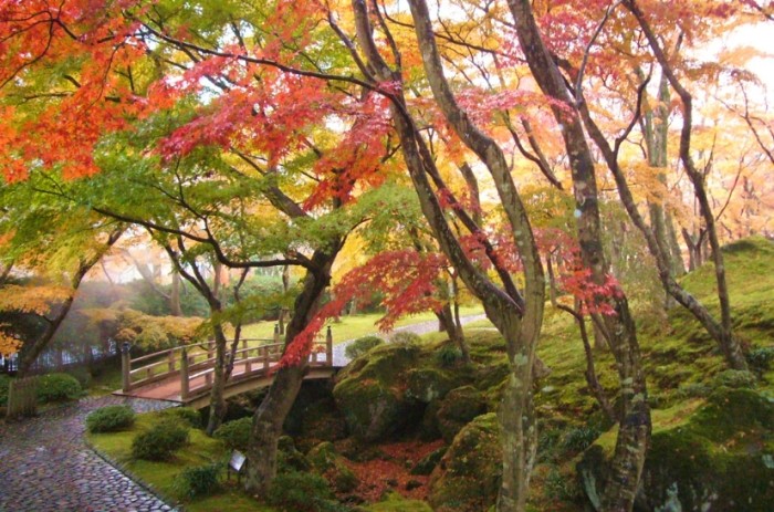箱根美術館 箱根美術館