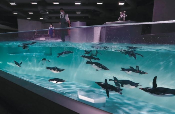 台南水族館