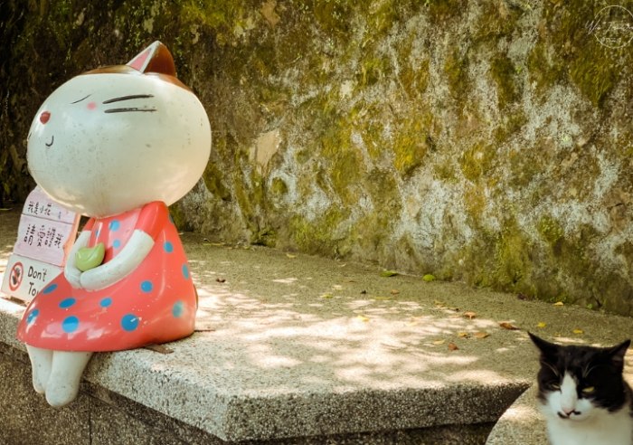 猴硐一日遊 猴硐一日遊