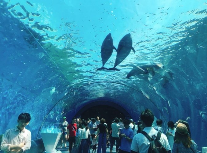 横濱八景島海島樂園