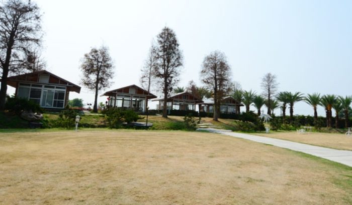 九九莊園 九九莊園