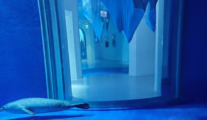 青埔水族館 青埔水族館