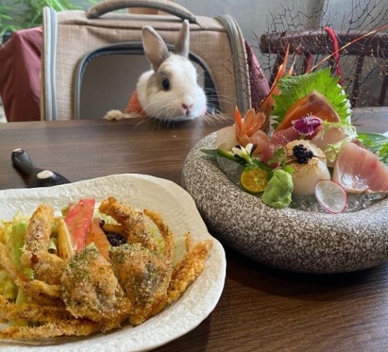 動物餐廳 動物餐廳