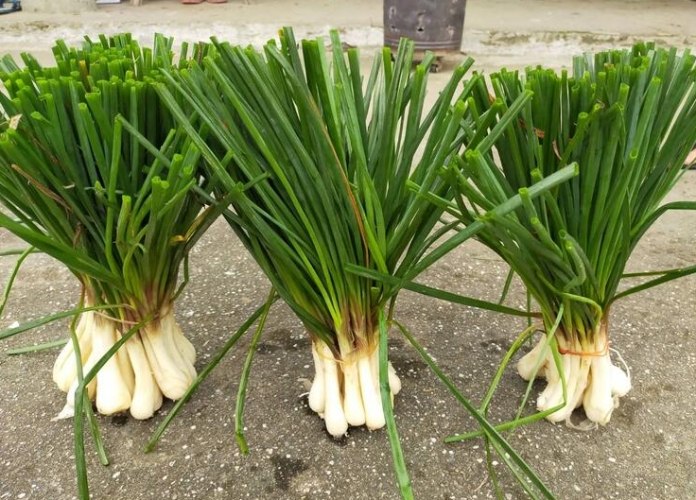 蕗蕎功效 蕗蕎功效