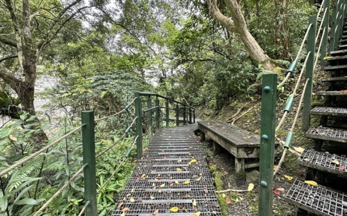 富源國家森林遊樂區 富源國家森林遊樂區