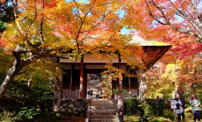 常寂光寺 常寂光寺