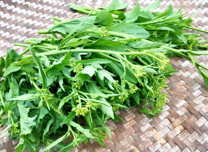 衝菜做法
