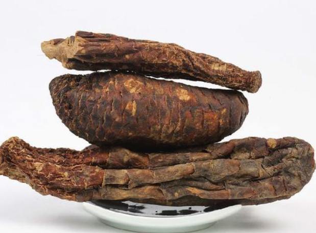 肉蓯蓉功效 肉蓯蓉功效