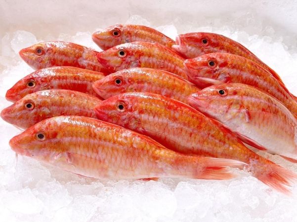 秋姑魚 秋姑魚