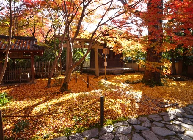 蓮華寺 蓮華寺
