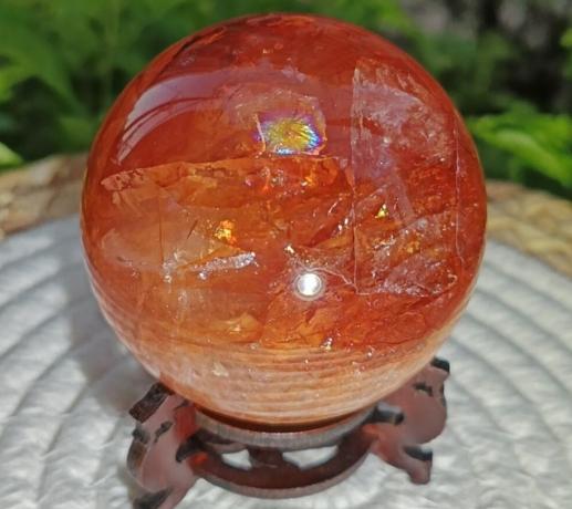 紅膠花功效 紅膠花功效