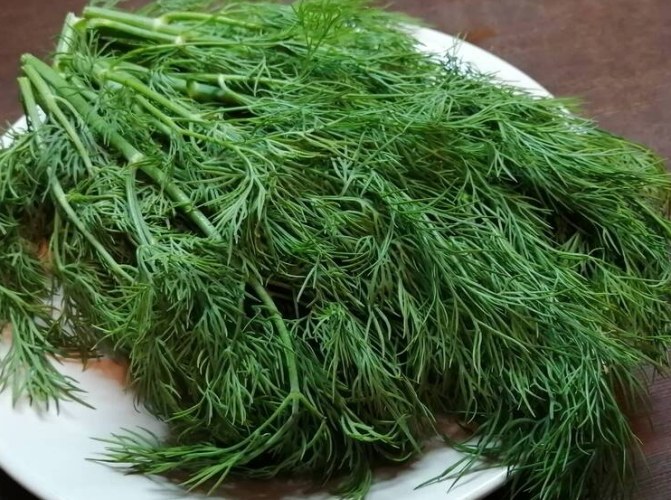 茴香功效