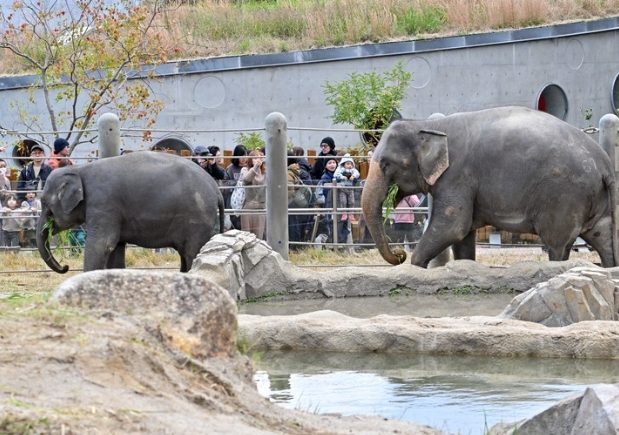 福岡動物園 福岡動物園