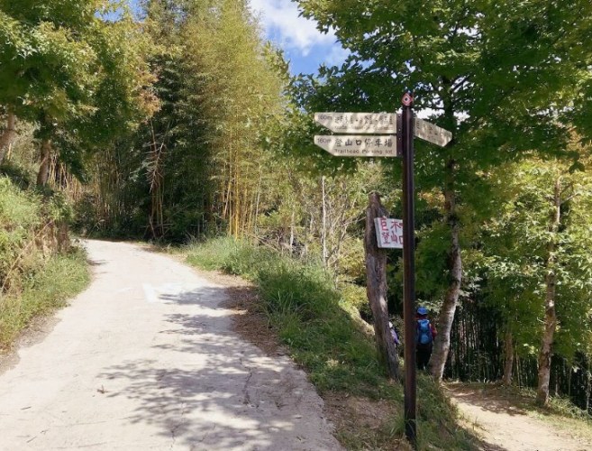 司馬庫斯巨木群步道 司馬庫斯巨木群步道