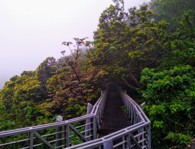 林口步道 林口步道