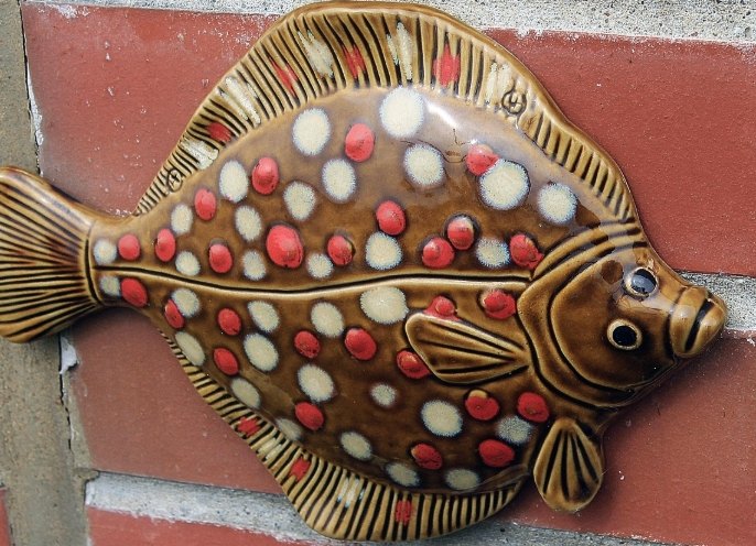 鰈魚 鰈魚