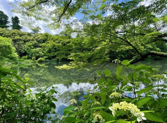 東京自駕遊 東京自駕遊