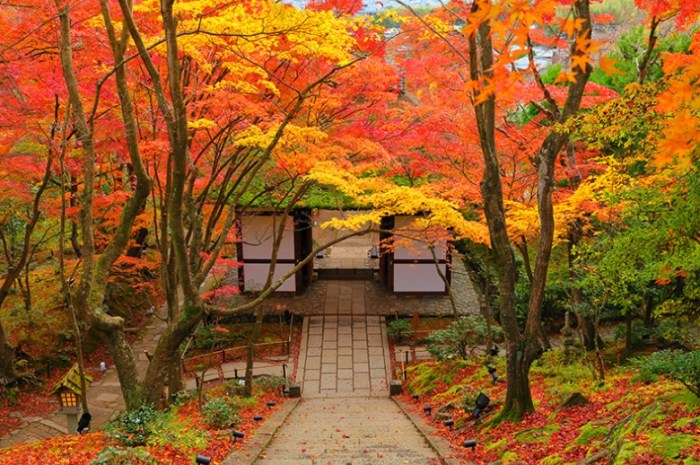 常寂光寺 常寂光寺