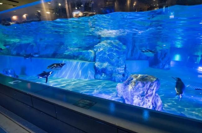 水族館東京 水族館東京