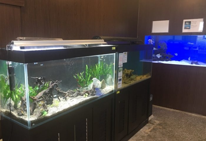 台南水族館