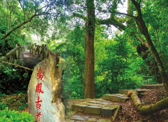 東富禪寺